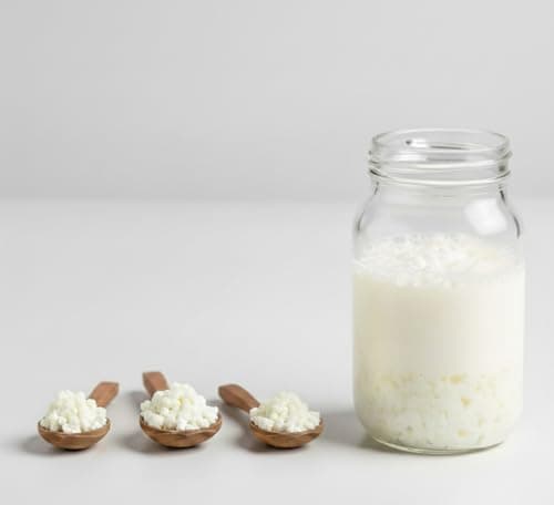 Kefit by NatuDelight - Live Milk Kefir Grains - 3 Teaspoons Fresh Active Starter Culture - DIY Homemade Fermented Drinks - Reusable Kefir Grains - Pajaritos Bulgaros de Leche