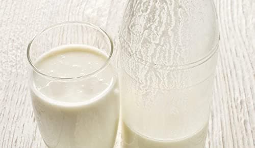 Milk Kefir Powder Ready To Use No Maintenance - Live Active Probiotic Cultures - Non GMO Gluten Free - Health Starter - Leche de Bulgaros en Polvo (1 Oz)