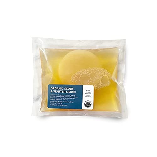 Organic SCOBY Kombucha Starter Kit Review – Urban Kitchen 2024