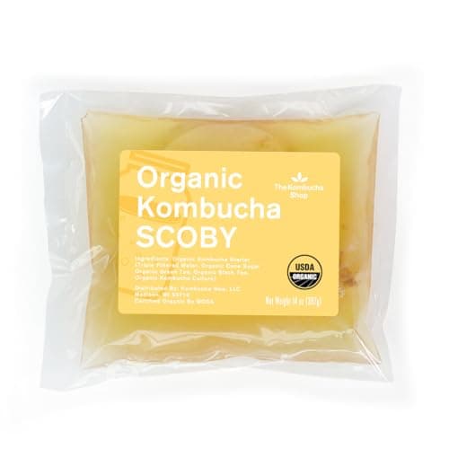 The Kombucha Shop SCOBY Kombucha Starter Kit – Full Review (2025)