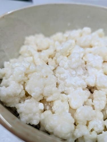 POSEYMOM Milk Kefir Grains | DIY Fermented Priobiotic Health Drink Starter Culture | 1 Heaping Tablespoon Fresh, Live Grains | Full & Easy Online Instructions | Makes 8-12oz Beverage every 24 hrs