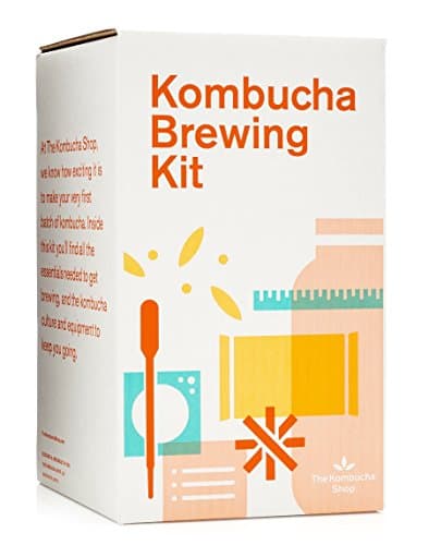 The Kombucha Shop Starter Kit Review – Is Het De Beste Kombucha Kit voor Beginners?