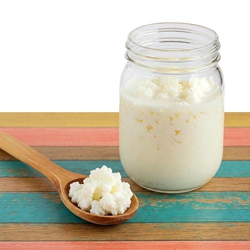 Milk Kefir Grains Review: The Spirit Of The Forest getest – zijn ze de moeite waard?