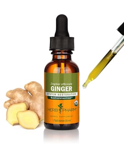 Ingwer Tropfen Test: Herb Pharm Ingwer Extrakt im Check