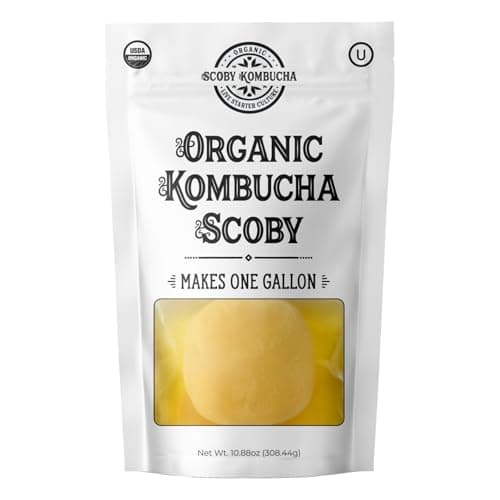 Organiczny SCOBY Kombucha – Recenzja i Test 2025