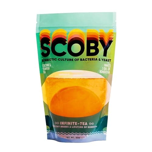 Craft A Brew SCOBY Starter Tea Test – Lohnt sich der Kauf?