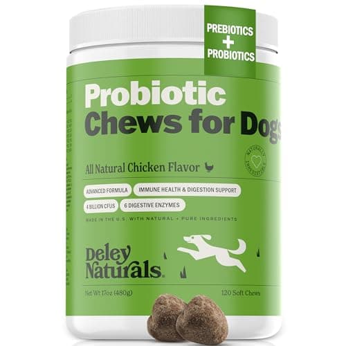 Deley Naturals Hund Probiotika Test 2025 – 4 Mrd. CFU im Check