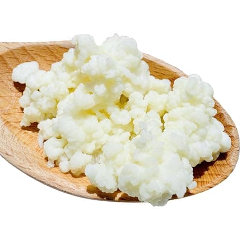 NatuDelight Live Actieve Kefir Granen Review – Zelf Kefir Maken Thuis