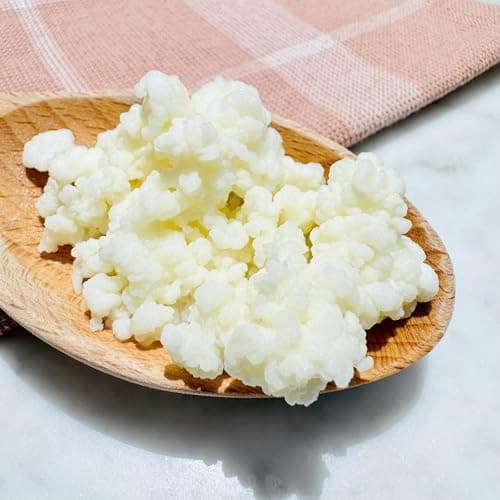 NatuDelight Kefit - Live Milk Kefir Grains, 1 TBSP Starter Culture for Home Production
