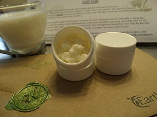Milk Kefir Grains Review: Real DIY Kefir Worth the Effort?