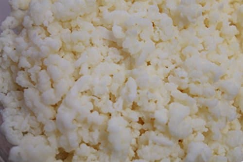 Lifetime Kefir Milk Kefir Grains Review – Fresh Ferments at Home?