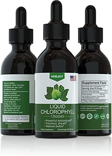 Chlorophyll Liquid Drops - 100% Natural Energy Booster and Immune Support - Internal Deodorant and Detox - Altitude Sickness Relief - Fast Absorption, Vegan & Non-GMO - 120 Servings (Pack of 2)