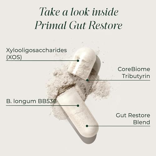 Primal Harvest Restore for Gut Health, Primal Gut Restore w/POSTbiotics, PREbiotics and PRObiotics for Women and Men, 60 CT - Digestion, Colon Cleanse, Immunity Support - Helps Leaky Gut Repair