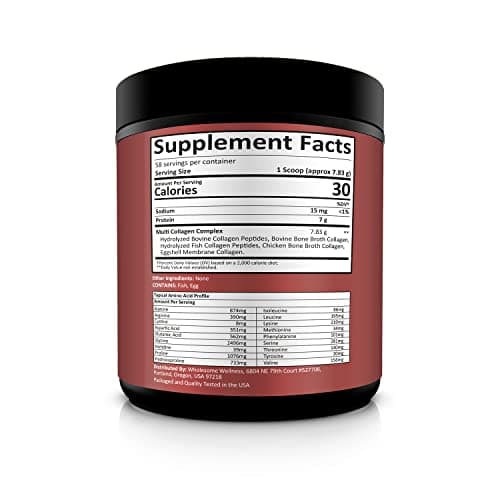 Wholesome Wellness Premium Multi Collagen Peptides Protein Powder for Women and Men, 5 Types of Hydrolyzed Collagen, Grass-Fed, Non-GMO & Unflavored, Pure Protein for Youthful Skin & Joint Recovery