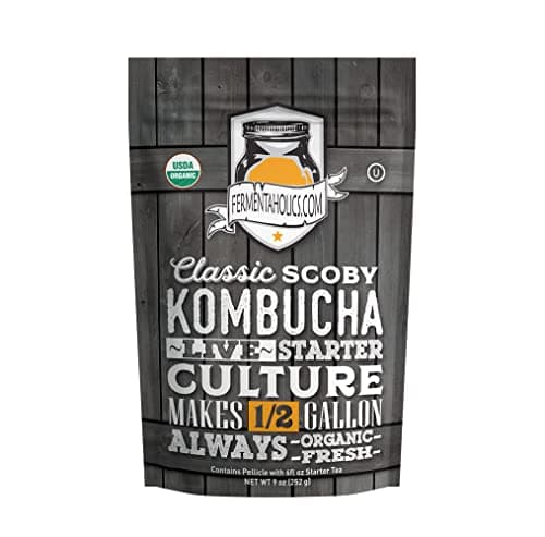 Fermentaholics Kombucha SCOBY Review – Thuis Je Eigen Kombucha Maken