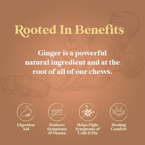 Chimes Ginger Chews Original -- 5 oz - 2 pc