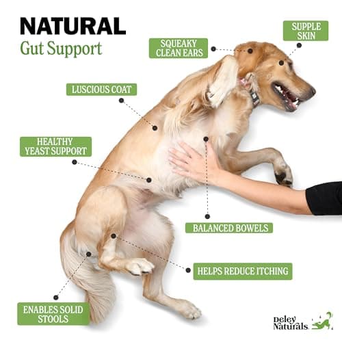 Deley Naturals Dog Probiotic Chews - 4 Billion CFU Probiotics for Dogs with Digestive Enzymes & Prebiotics - Grain Free Soft Chews for Gut Health & Digestive Support - 120 Chicken Chews Made in USA