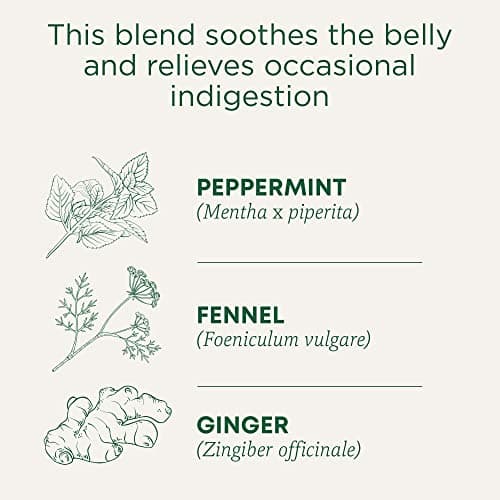 Traditional Medicinals Tea, Organic Belly Comfort Peppermint, Promotes Healthy Digestion, 16 Tea Bags
