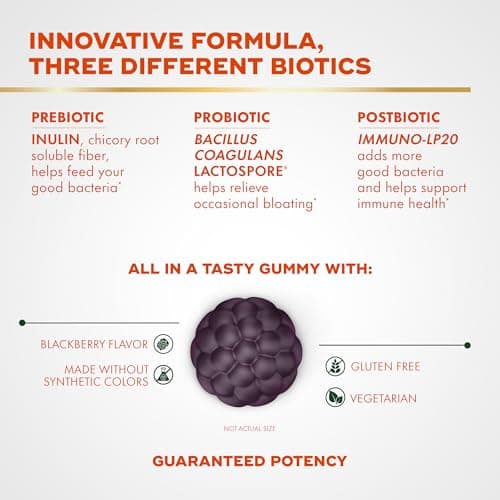 Align Probiotic, 3-in-1 Biotic Gummies, Prebiotic + Probiotic + Postbiotic, #1 Doctor Recommended Probiotic Brand‡, Helps Relieve Occasional Bloating*, BlackBerry Flavor, 50 Gummies
