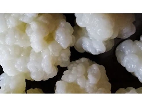 Kefir Grains Organic 30 G