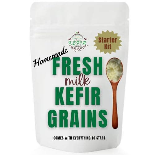 Frische Milch Kefir Grains Test – Starter Kit für Zuhause