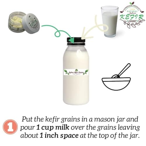 Fresh Milk Kefir Grains - 1 TBSP
