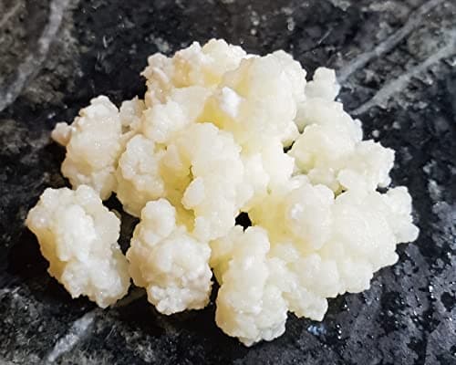 Mr. and Mrs. Kefir Milch-Kefir Grains Test 2024 – Lohnt sich der Kauf?
