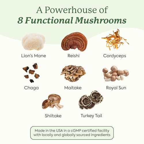 Plant People WonderDay Mushroom Gummies - Lion’s Mane, Cordyceps, Chaga Mushroom Supplement to Support Immune System De-Stress Boost Mood & Energy in Adults Natural, Vegan, Non-GMO (60 Count)