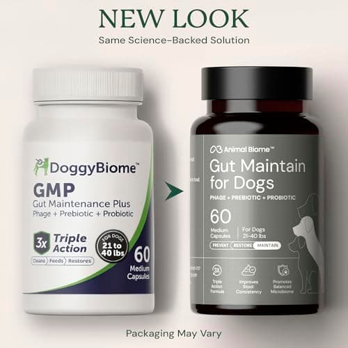 Animal Biome Probiotics for Dogs with S Boulardii, Gut Maintain (60 Capsules) – Triple-Action Large Dog Probiotics, Prebiotics & Phage Supplements for Gut Health, Firmer Stool & Diarrhea Support