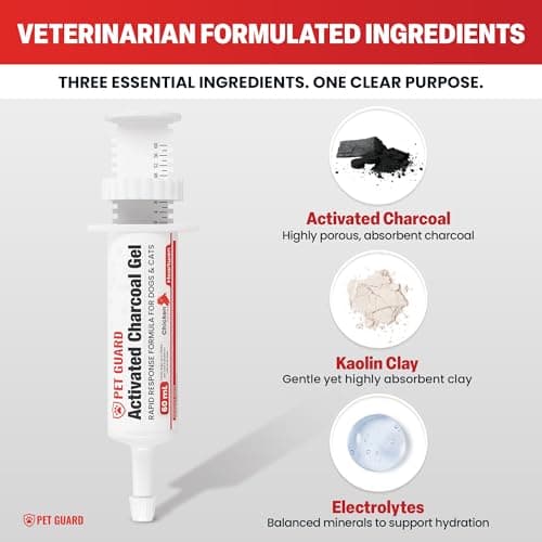 Heartwen Activated Charcoal for Dogs & Cats (60 mL) | Emergency Pet First Aid for Accidental Ingestion & Digestive Support | Simple to Dose, Ready-to-Use | Chicken Flavored