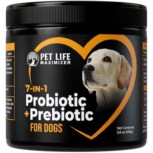 Probiotici per Cani 7-in-1 Recensione Completa 2025