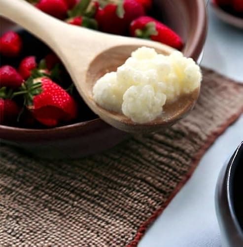 Milk Kefir Grains for Making Probiotic Kefir Drink, strong probiotic, 1 TABLESPOON, bulgaros, pajaritos, alive grains.