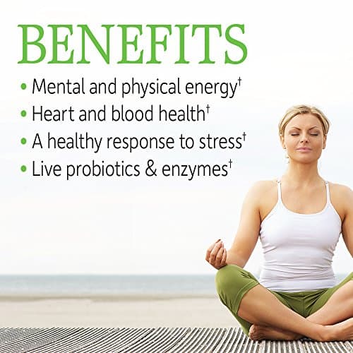 Garden of Life Vitamin B Complex, 120 Vegan Capsules, High Potency Vitamins for Energy & Metabolism with B6, Folate & B12 as Methylcobalamin Plus Probiotics