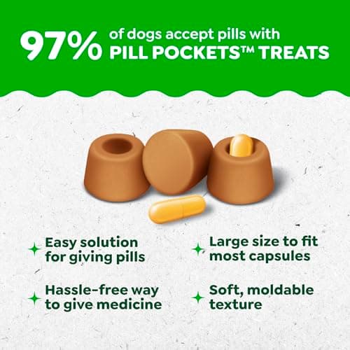 Greenies Pill Pockets for Dogs Large Size, Dog Treat Pouch for Capsule Medication, Chicken Flavor, 15.8 oz. Pouch