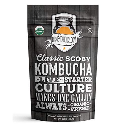 Fermentaholics Kombucha SCOBY Review – Organisch Thuis brouwen