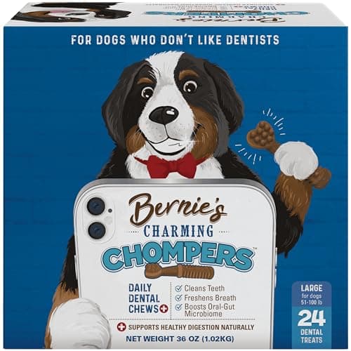 Bernie's Charming Chompers Test 2024 – lohnt sich das für große Hunde?
