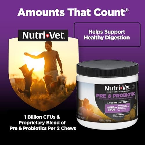 Nutri-Vet Pre & Probiotics for Dogs, Digestive Support, Upset Stomach, Puppy Probiotic, Pet Vitamins and Supplements, Dog Probiotics, Liver & Cheese Flavor, 120 Soft Chews