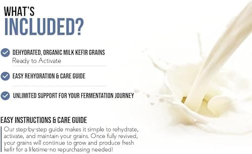 Dough Dough at home Milk Kefir Starter Culture, 15 Grams - Dehydrated easy to use