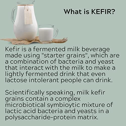 Milk Kefir Live Grains - Live Active Starter Cultures Scoby For Homemade Probiotic Drink For Almond, Coconut Kefir Or Whole Milk - Bulgaros De Leche - The Spirit Of The Forest