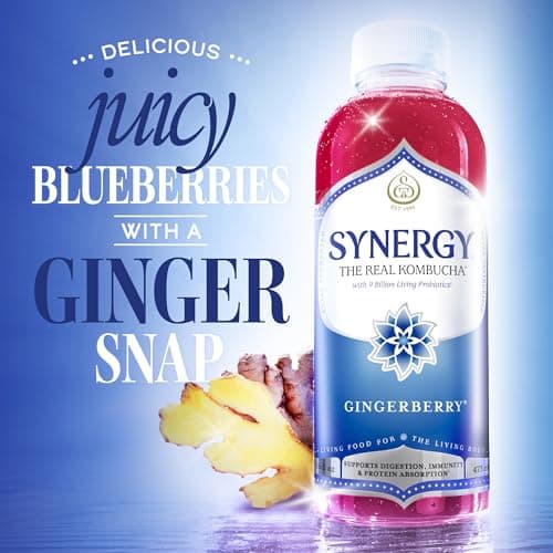 SYNERGY The Real Kombucha - Gingerberry - 16 fl oz Bottle - Raw Probiotic Drink for Gut Health and Immune Support