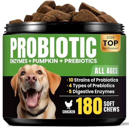 Probióticos para Perros – Análisis Completo de BuddyCheer 2025