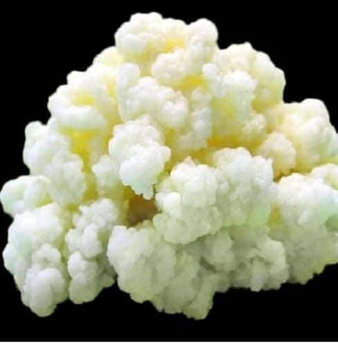 Milk Kefir Grains Starter Review – Fresh Live Cultures for Homemade Fermentation