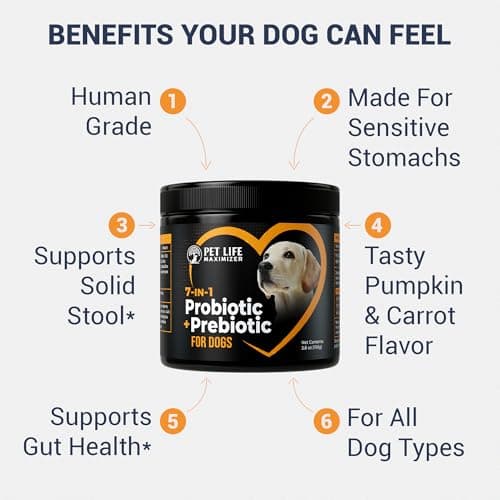 7-in-1 Probiotic + Prebiotic for Dogs. For Digestive Health, Yeast, Itchy Skin, Itchy Ears, Paw Licking. Dog Gut Health Probiotics Supplement 5 Billion CFU Multi-Strain Formula. Daily Powder Topper