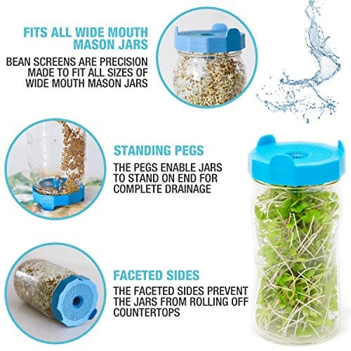 Masontops Bean Screen Sprouts Growing Kit - Sprouting Lids & Sprout Mixes Microgreens Growing Kit - Sprouting Kit Wide Mouth Mason Jar Strainer Lid
