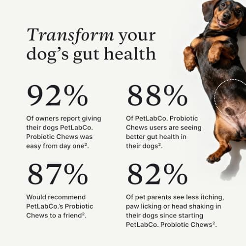 PetLab Co. Probiotics for Dogs, Support Gut Health, Occasional Diarrhea, Digestive Health & Seasonal Allergies - Pork Flavor - 30 Soft Chews - Packaging May Vary