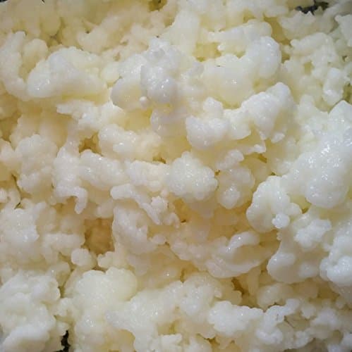 Best Milk Kefir Grains 2024: Natural Home Remedies Review