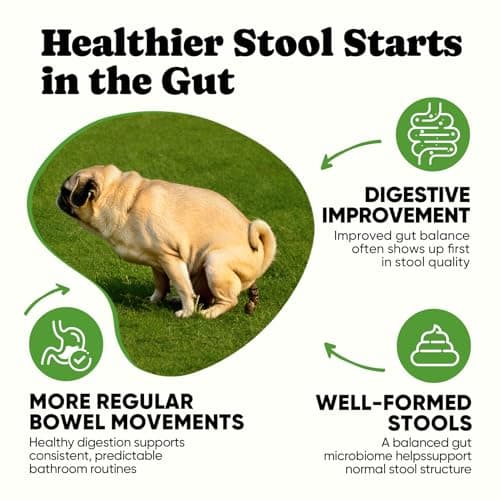 Probiotics for Dogs – Helps Digestion, Loose Stools, Gas & Sensitive Stomachs, Probiotics for Itchy Skin & Dog Yeast Infection, Immune & Fresher Breath with 4 Prebiotics & 5 Digestive Enzymes – 180 ct