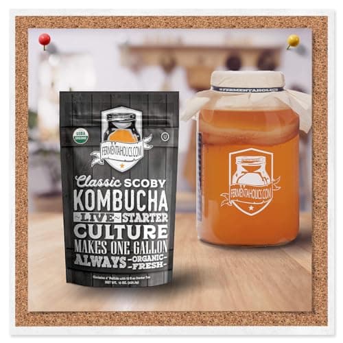 Fermentaholics ORGANIC Kombucha SCOBY With Twelve Ounces of Starter Tea - Live Starter Culture - Makes A One Gallon Batch - 1.5 Cups of Strong Mature Starter Tea - Brew Your Own Kombucha (1 Pack, 1, Count)