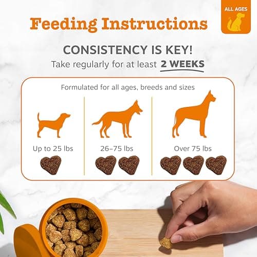 Zesty Paws Probiotics for Dogs - Digestive Enzymes for Gut Flora, Digestive Health, Diarrhea & Bowel Support - Clinically Studied DE111 - Dog Supplement Soft Chew for Pet Immune System - Pumpkin, 90ct