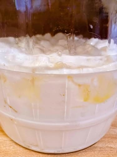 POSEYMOM Milk Kefir Grains | DIY Fermented Priobiotic Health Drink Starter Culture | 1 Heaping Tablespoon Fresh, Live Grains | Full & Easy Online Instructions | Makes 8-12oz Beverage every 24 hrs
